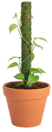 Monstera - Soporte para Plantas trepadoras apilables, Verticales, Postes de Soporte de Altura Ajustable, estacas de Musgo para pothos, Cactus, Tomate, Fruta, Vid, filodendro, jardín, Patio