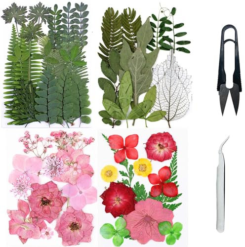 Cayway 4 Pacco Fiori Secchi per Resina Naturali Pressati Fiori Pressati Secchi, Fiori Pressati Secchi Naturali per Scrapbooking, Gioielli in Resina Epossidica ( Verde, Rosa)