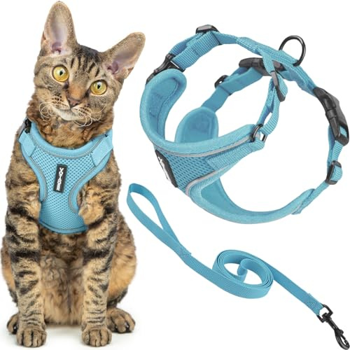 Voyager Flyktsäker kattsele och koppel set med reflekterande sömmar, neoprenhandtag 1,5 m – stöder små, medelstora och stora katter, kattungar för promenader med bästa husdjursartiklar – babyblå, XXS