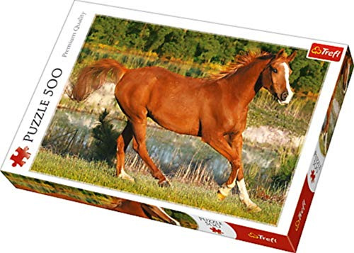 Trefl The beauty of gallop Puzzle (500-Piece, Multi-Color)