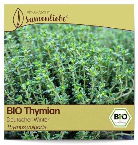Samenliebe BIO Thymian Samen alte Sorte Deutscher Winter Grün 1000 Samen samenfestes Kräuter Saatgut für Küche indoor und Balkon Garten mehrjährig und winterhart