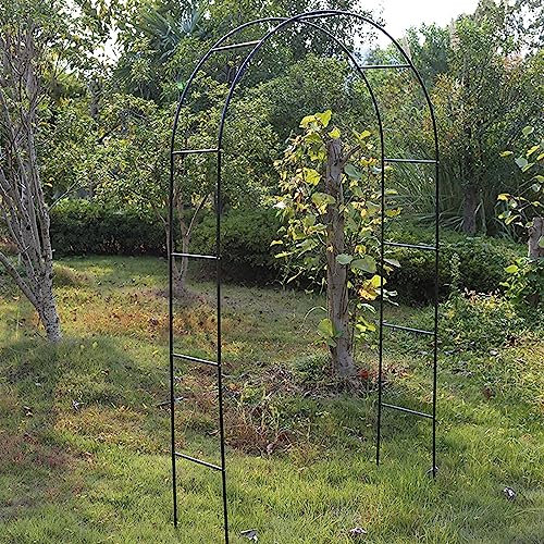 Arche de rose en métal pour jardin, arche de jardin pour légumes et courges, décoration de serre, noir, 240 x 220 x