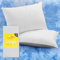Cosi Home Kühlender Kissenbezug 50x80 cm (2er Set), Kopfkissenbezug mit Arc-Chill Kühlfasern atmungsaktiv, Haut & Haare schonende seidige Kissenbezüge, Kissenhülle - Grau