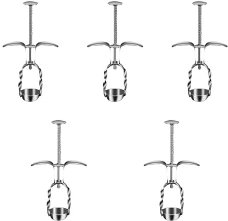 Gatuida 5piezas Deshuesador De Cereza De Inoxidable Herramienta Multifuncional Para Quitar Huesos De Jujube y Dátiles Para Cocinas y Procesamiento Rápido De Frutas