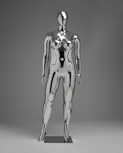 BBHW Manichino Manichino Donna Taglie Forti, Torso Femminile Realistico per Tutto Il Corpo, Manichino da Esposizione Staccabile per La Vetrina del Negozio al Dettaglio (Color : Silver)
