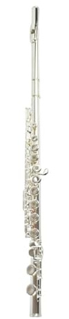 tvärflöjt instrument Flöjtinstrument C-nyckel nybörjare 16-håls flöjtinstrument