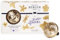 Lampe Berger Lolita Lempicka Autodiffusor, Keramik, Gold, 4 cm