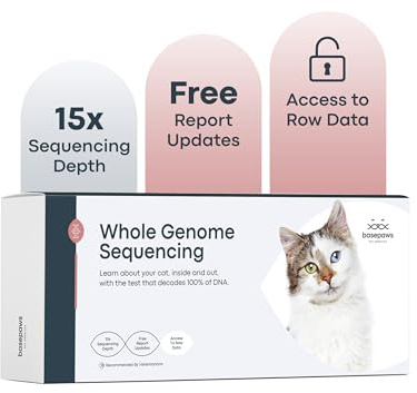 Basepaws Cat DNA Test Kit - Comprehensive Breed, Health and Dental Analysis Across 114 Traits for Accurate and Easy-to-Use Genetic Insights (Cat Whole Genome Sequencing, Basic)