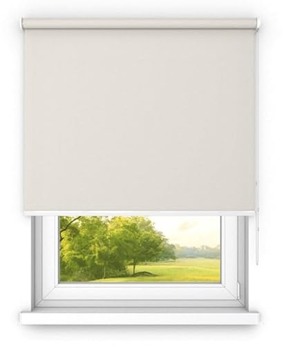 time4blinds Screen Roller Blind - Customizable Width (600-2600) Height (600-3000) and Colour- Ideal for Light Control, Sun Protection, and Elegant Window Decor - Easy Installation and Maintenance
