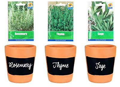 DIY Grow Your Own Herbs Sets: 3PC Terracotta Chalkboard Herb Planters with Rosemary, Thyme and Sage Seeds.