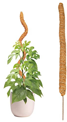 Bavokon 80 cm Moss per Piante Monstera e Piante rampicanti,Cocco Bastoncini per Piante, Totem in Fibra di Cocco,Bastone Muschiato Cocco per sostenere Piante da Appartamento per Crescere Verso l'Alto