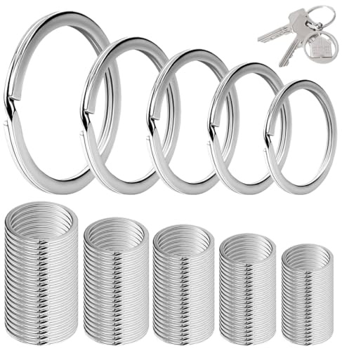 EIHI 100 Pezzi Portachiavi, Anello in acciaio inox saldata rotonda 40mm 30mm 28mm 25mm 20mm per Yoga Animali Domestici, Immersioni, Arrampicata