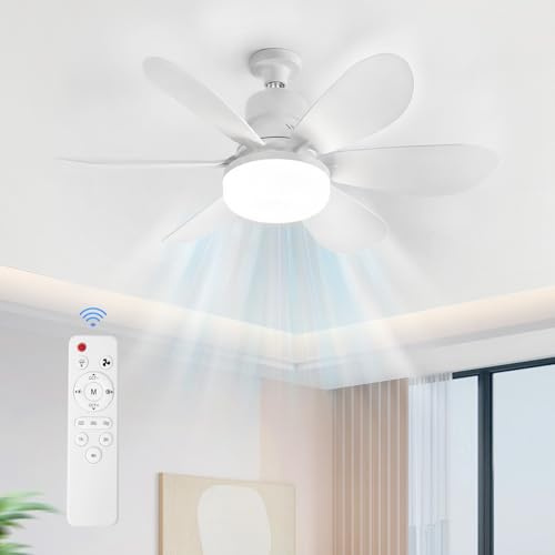 ACICILI Takfläkt med Lampa, Tyst Takfläkt med Belysning och Fjärrkontroll, 3 Fläkthastigheter, Dimbart 3000-6500K, Timer 1/2/4 timmar, Minnesfunktion