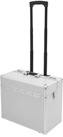 SHZICMY Maleta piloto de aluminio con ruedas, carro de negocios con compartimento para portátil y asa telescópica, plata, 48,5 x 23 x 39 cm