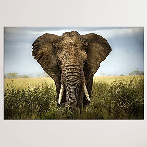 Advertising & Displays Werbecenter Berlin GmbH Leinwandbild Elefant - Afrika Modern Art - Druck auf Leinwand - XXL Wandbild (120 x 80 cm)
