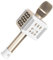 TOSING 016 Micrófono inalámbrico de karaoke con Bluetooth, 20W 3-en-1 Karaoke de mano portátil Micrófono Fiesta en casa Máquina de altavoces(016Champagne gold)
