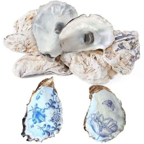 15Pcs Oyster Shells for Crafts, 4-5 Inch Natural Oyster Shells Bulk, Large Sea Shell for Crafting and DIY Painting, Beach Themes and Wedding Decor, Home Vase Fillers, and Xmas Ornaments