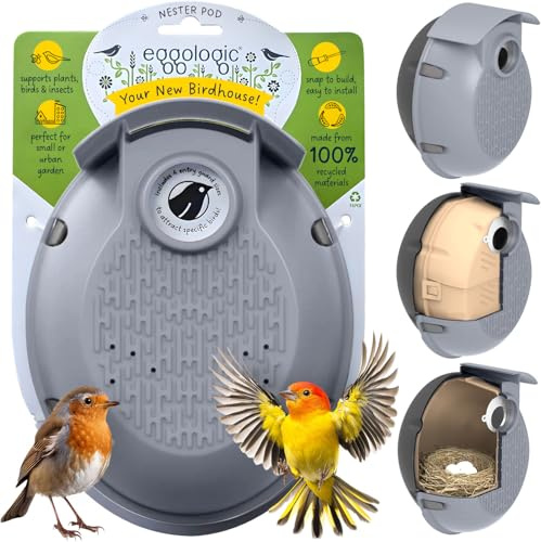 Eggologic Nester Pod - Perch-Free Vertical Bird Box for Wild Sparrow and Blue Tit, Bird Houses Made from 100% Recycled Materials for Strength and Durability – Stone Gray