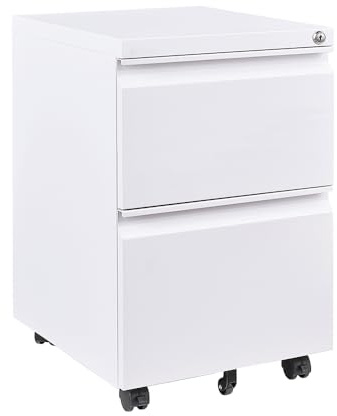 Panana 2/3 Drawer Mobile File Cabinet, Steel Lockable Office Cabinet with Wheels Under Desk Drawers on Casters for Home Office Furniture, Fully Assembled (White, 2 Drawers)