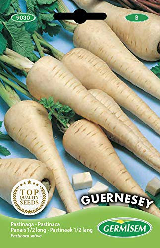 Germisem Guernesey Semillas de Chirivía 5 g, EC9030