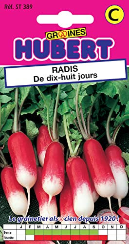 Graines de Radis de Dix-Huit Jours - 10 grammes