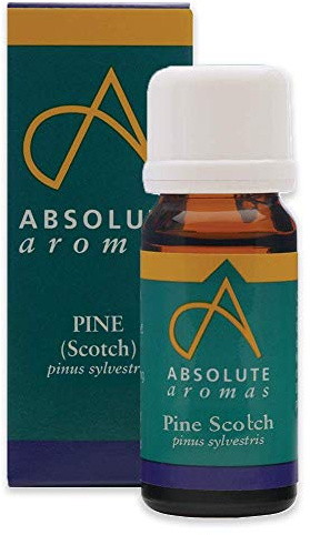 Absolute Aromas Pine Essential Oil 10ml - 100% Pure, Natural, Undiluted, Vegan and Cruelty-Free - for use in Diffusers and Aromatherapy Blends