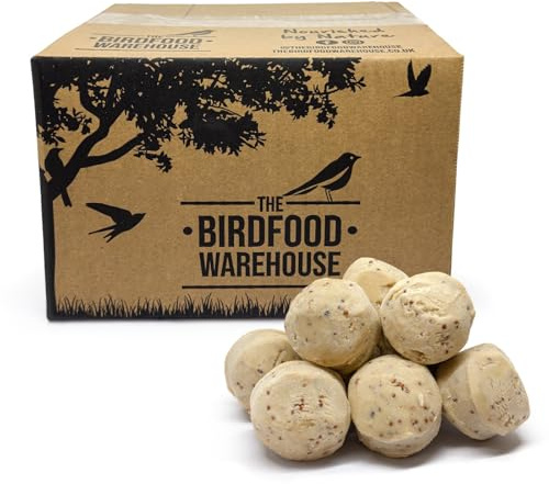 The Birdfood Warehouse Premium Insect Fat Balls for Wild Birds 50pk | Natural Suet for Wild Garden Birds, High Energy Bird Food, Year Round Feeding, No Artificial Ingredients, Made in the UK