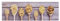 andiamo Teppich Läufer Kitchen mit ruschhemmender Rückseite - Küchenteppich PVC Küchenläufer Flur Läufer Teppichläufer 50 x 150 cm Pasta