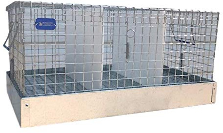 Rabbit Carrier/Transport Cage - 3 Hole (12x18x10)