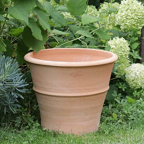 Palatina - Pot de fleurs haut en céramique résistant au gel - 40 cm - En terre cuite - Pot de fleurs méditerranéen pour le jardin - Yucca 40 cm