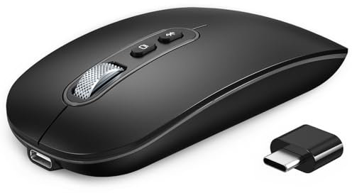 PINKCAT Raton Inalambrico, Modo Dual Recargable Raton USB C (Bluetooth 5.1 + USB C), Ratón Bluetooth, Mouse Inalámbrico, Ratón Ergonómico y Silencioso para MacBook Air/Pro, iPad, Mac, Ordenador
