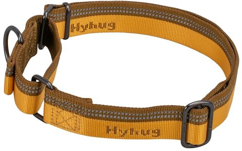 Hyhug Nylon Klassische Halsbänder ，Anti-Flucht Hundehalsband. 3M Reflektierender Streifen, Komfortabel Verstellbar, Sicherer Nachtspaziergang, Hunde-ID-Tag-Montageloch (Kleine, Artisan's Gold)