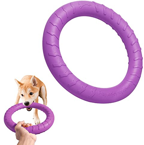 Dog Balls Toy for Aggressive Chewers (Purple Ring)