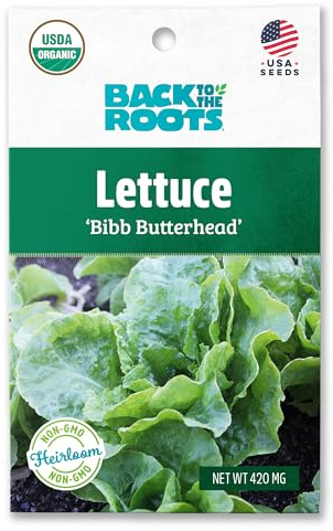 Back to The Roots 100% Organic Seed Packet - Lettuce 'Bibb Butterhead' 420mg