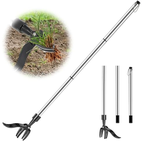 Hlayshing Estrattore di erbacce – Estrattore di erbacce in piedi con manico lungo in acciaio inox, strumento da giardino con testa a 4 artigli per giardino e prato, con manico lungo staccabile per una
