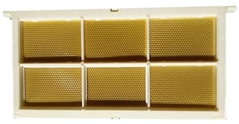 L'apicoltura Questo Set Di Scatole For Nido D'ape Comprende Una Cornice In Plastica E Sei Trasparenti For Conservare I Nidi Per Nido Forniture