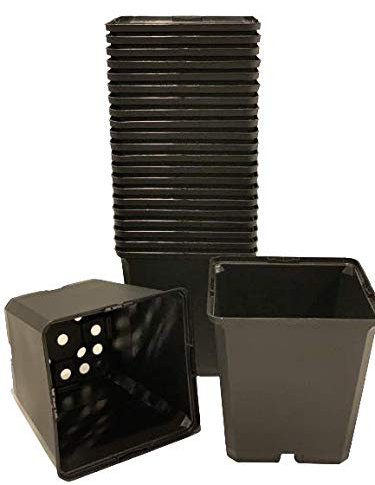 spiceboxx 50x Vierecktopf Pflanztöpfe Blumentöpfe Pflanzcontainer Anzuchttöpfe Vierkanttöpfe 13x13x13cm schwarz