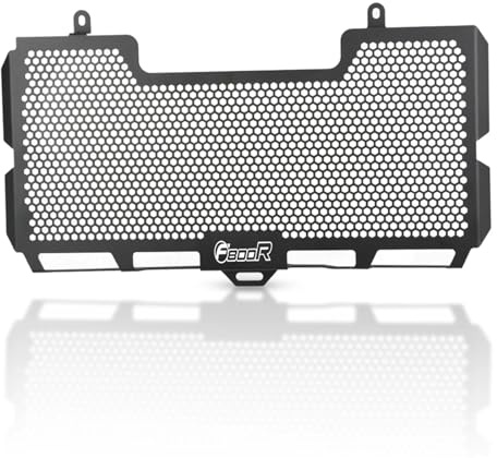 LOTFI Moto Griglia Del Radiatore Protezione Della Copertura di Protezione Misura for BMW F800 RF 800 R F800R 2004 2005 2006 2007 2008 2009 2010 2011 2012-2022 (Size : F800R LOGO)