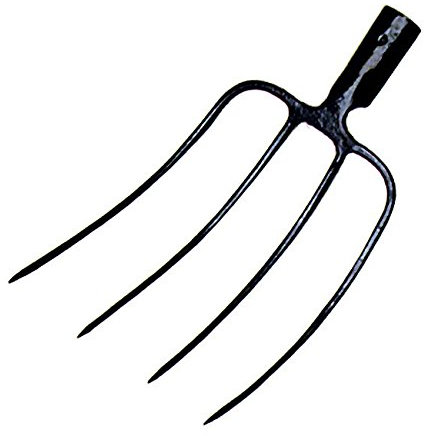 Papillon Forca 2 Denti per Fieno o Letame Senza Manico â