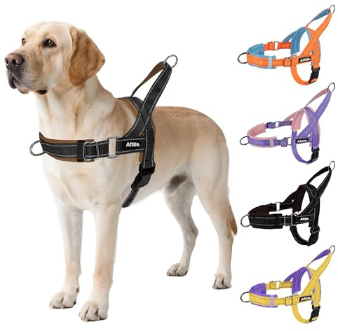 AIITLE Pettorina tattica anti-fuga migliorata per cani, regolabile su collo e petto, anti-tiro con impugnatura morbida imbottita, facile da addestrare per cani di taglia extra large Nero-Marrone XL