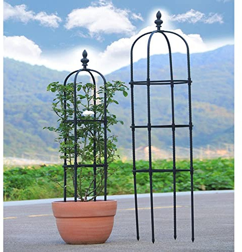 RADAAB Tuteur Obélisque de Jardin H 90cm 120cm 150cm 180cm 210cm Colonne rosiers Support pour Plantes grimpantes Ø 20cm 25cm 28cm 32cm Obélisque de Jardin (Size : 12.6/32cm Dia. x 71/180cm H)