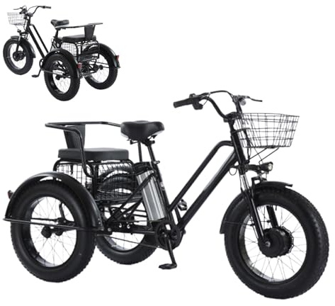PRECISTECH Triciclo Eléctrico Todo Terreno Estable, 3 Ruedas, Motor 250w, Batería 48v, Neumáticos Fat Tire 20, Transporte Y Paseos para Adultos