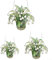 Diseño intrincado Lirio del Valle Acrílico Widgets Impresionante Decoración para el hogar, jardín o espacios de eventos (mediano)