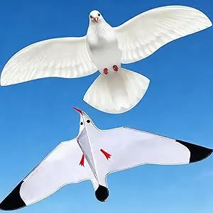 Touch the sky Cerfs-Volants Pigeon et Mouette pour Enfants et Adultes, Facile à Voler, Tissu Exquis et Structure Unique, Idéal pour Les Jeux et Activités de Plein Air, Parfait pour Les Débutants.