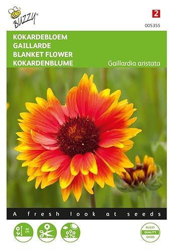 Buzzy Seeds 005355 Kokardenblume (Kokardenblumensamen)
