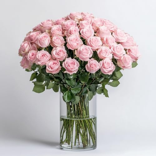 GlobalRose 100 Pink Roses Bouquet - Responsibly Sourced Roses Fresh Flowers - Hand-Picked Flowers Fresh Bouquet for Graduation, Anniversary, Birthday & Special Occasions (4 Bunches of 25 Stems)