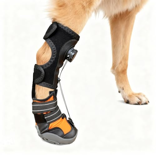 DOKKOME Ayuda correctiva para perros articulaciones zapatos ortopédicos elevador de pies para perros ayuda correctiva para problemas de pies elevador seguro mejora la marcha y el funcionamiento XL
