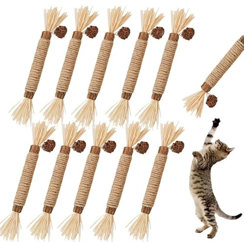 GREMBEB Cat Toys 10Pack Silvervine Chew Stick Kitten Treat Catnip Matatabi Toy Kitty Natural Stuff Catnip for Cleaning Teeth Indoor Dental Snack Interactive