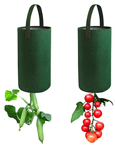 Surenhap filt hängande tomater plantering blommande växt växa väska insvängd tomatplanta