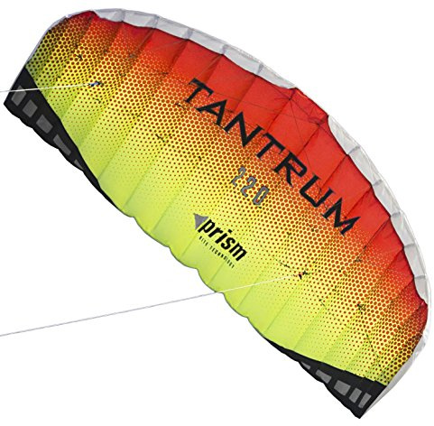 Prism Kite Technology Tantrum 220 Dual-line Parafoil Kite with Control Bar